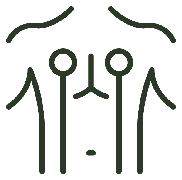 Icon representing health or physical therapy